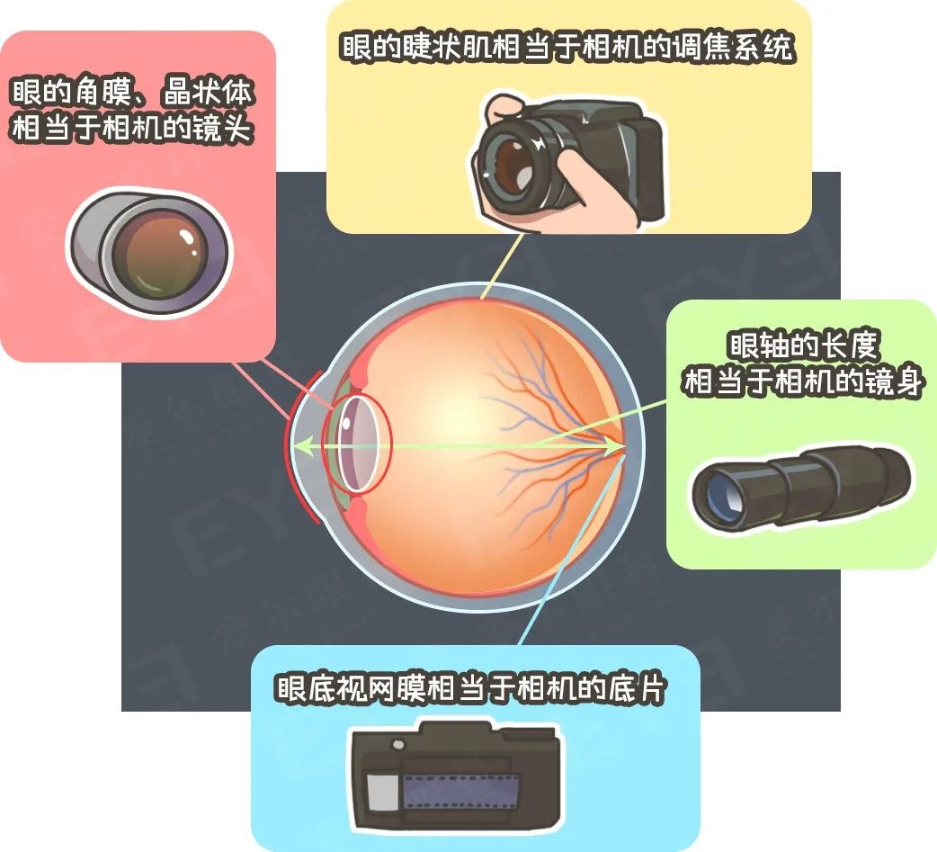圖片.png