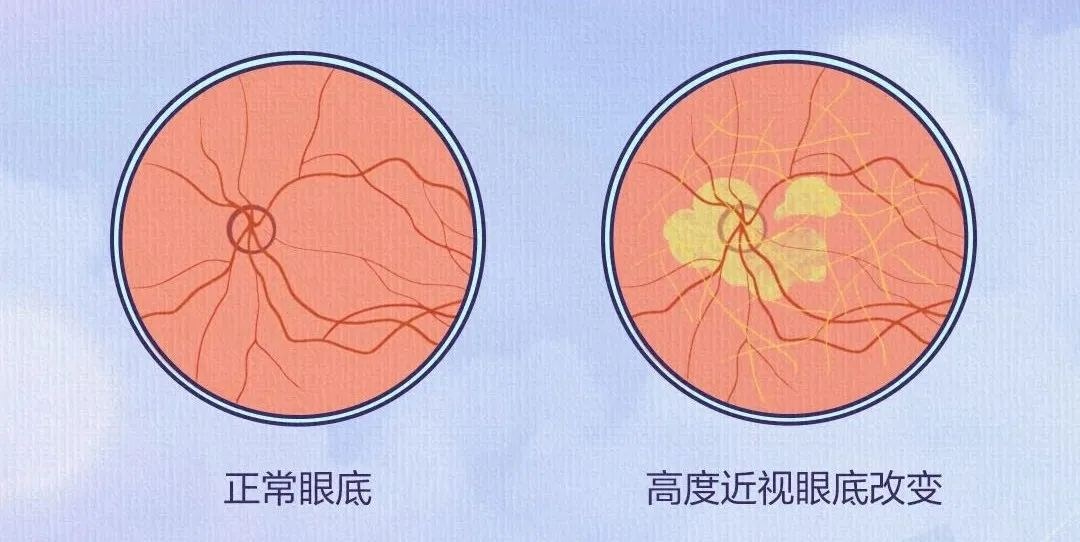 圖片.png