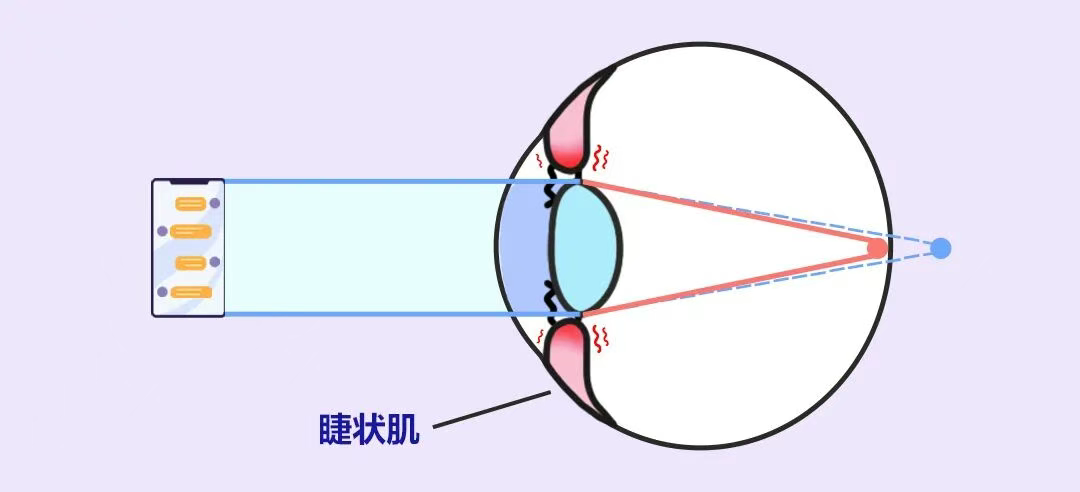 圖片.png