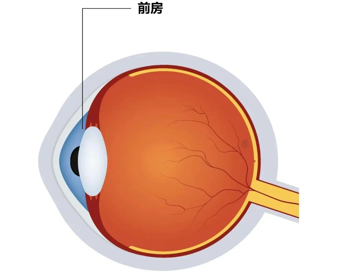 圖片.png